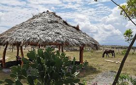 Pachingo Tatacoa Desert