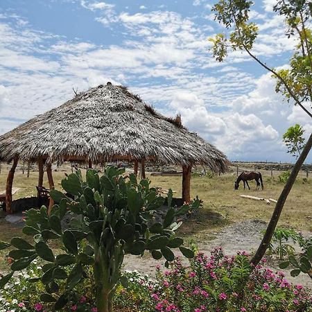 Pachingo Tatacoa Desert La Victoria  Exterior photo