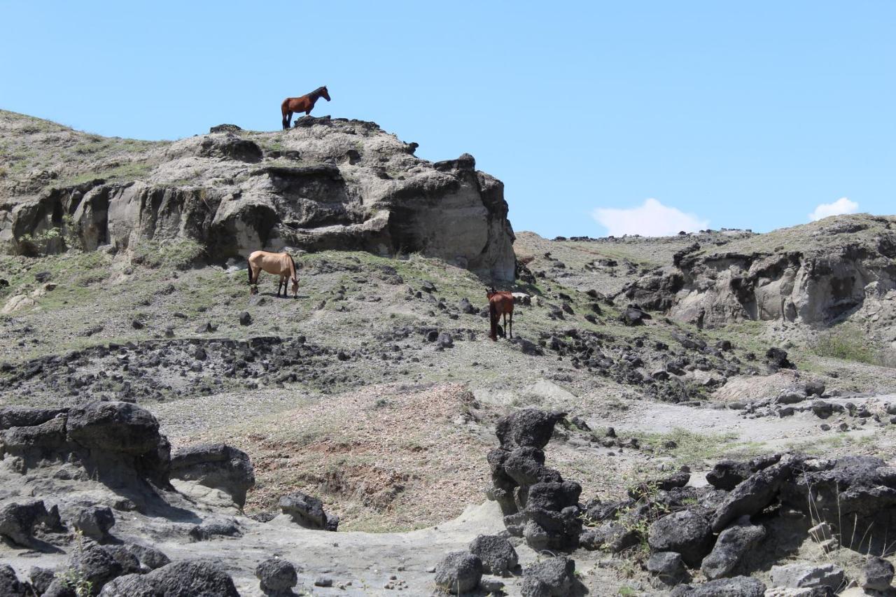 Pachingo Tatacoa Desert La Victoria  Exterior photo