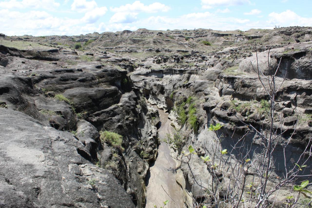 Pachingo Tatacoa Desert La Victoria  Exterior photo