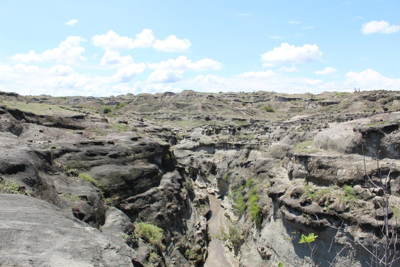 Pachingo Tatacoa Desert La Victoria  Exterior photo