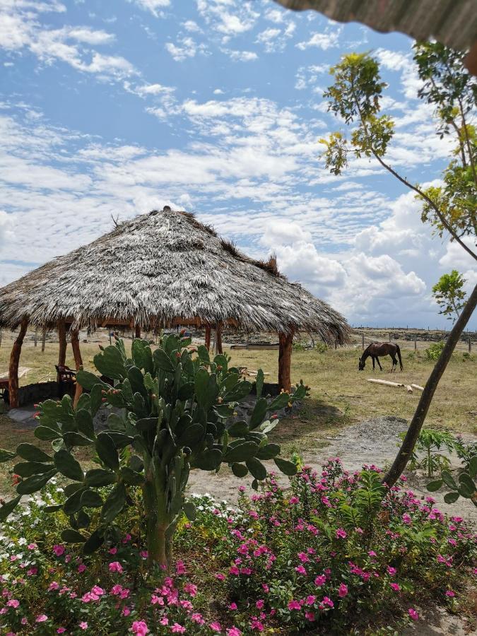 Pachingo Tatacoa Desert La Victoria  Exterior photo